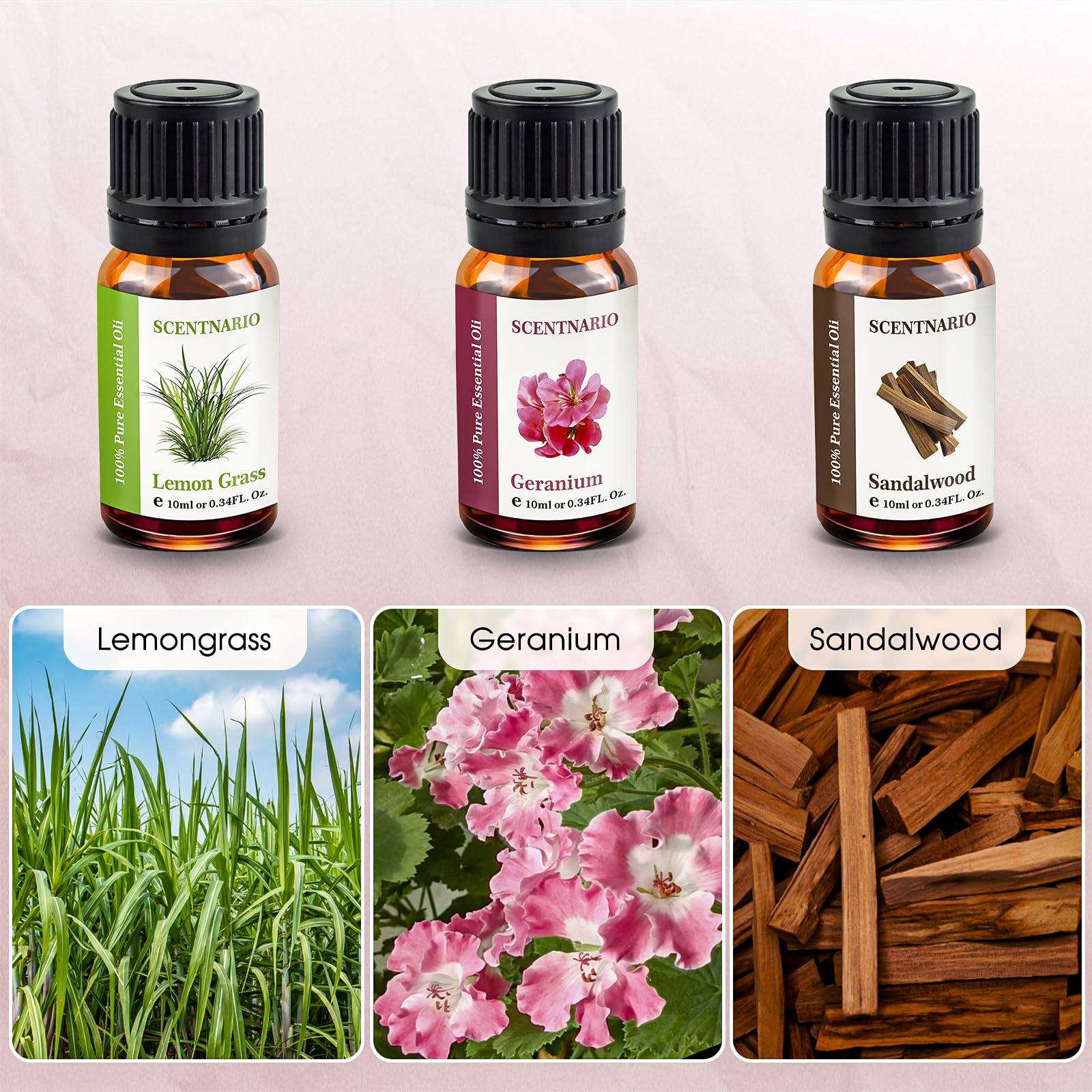 SCENTNARIO Essential Oils Set — 6 x 10ml Pure & Natural Gift Set