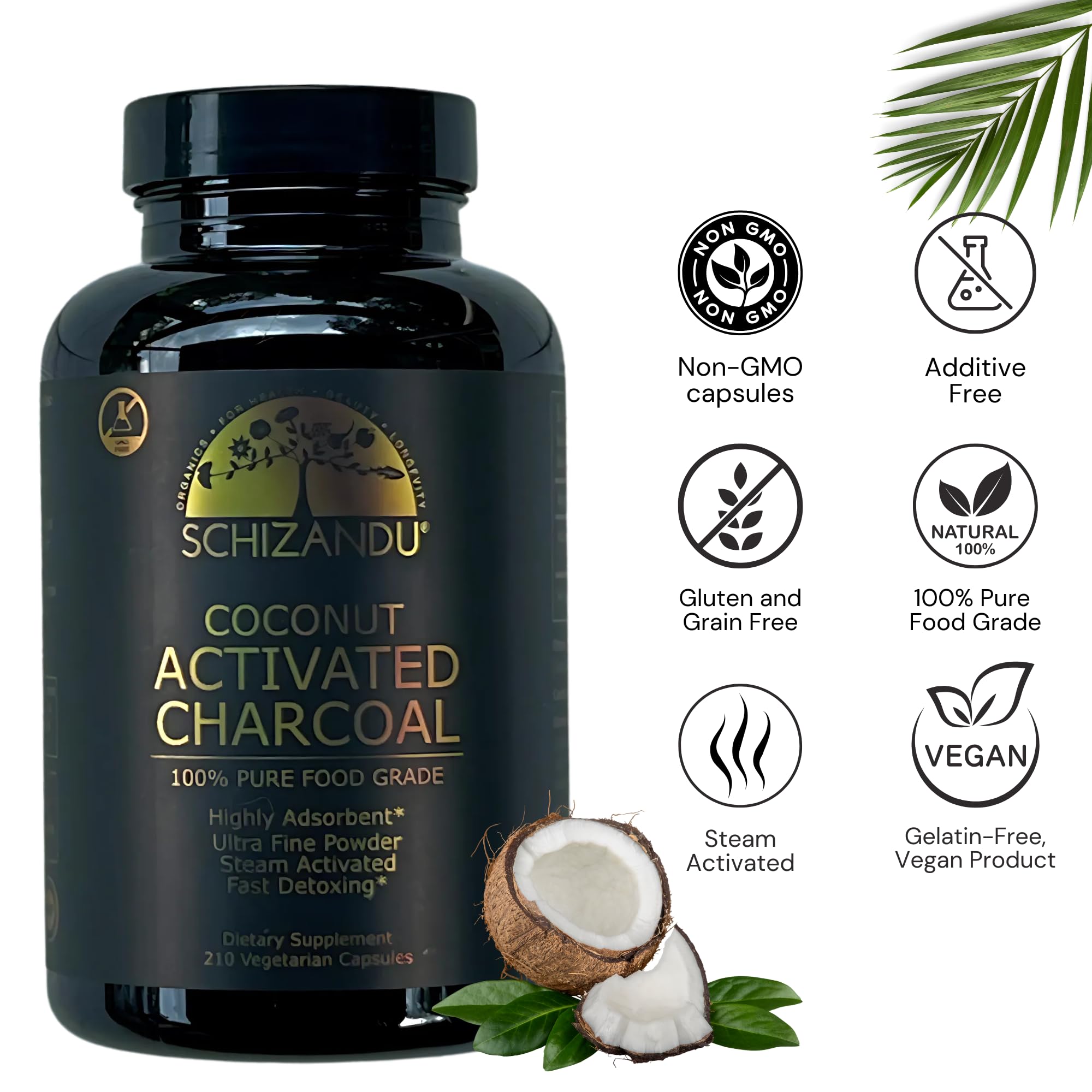 Schizandu Activated Coconut Charcoal Capsules - Vegan, Organic, Non-GMO, 210 Count | X-Large Bottle