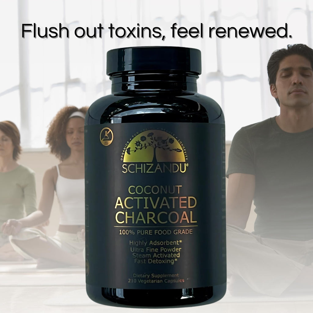 Schizandu Activated Coconut Charcoal Capsules - Vegan, Organic, Non-GMO, 210 Count | X-Large Bottle