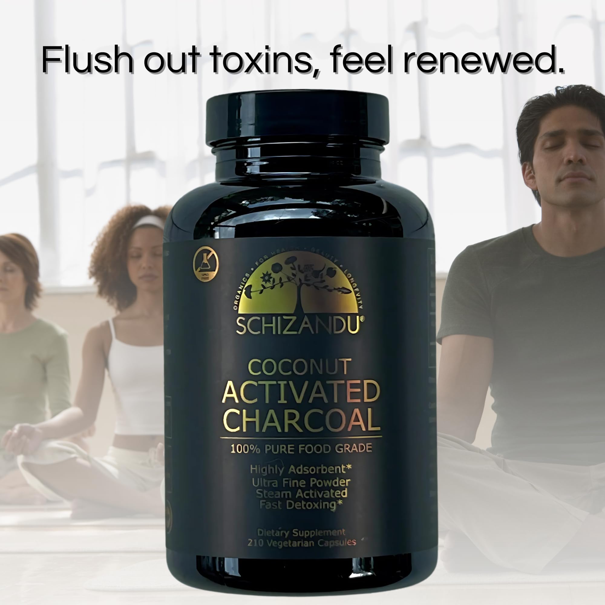 Schizandu Activated Coconut Charcoal Capsules - Vegan, Organic, Non-GMO, 210 Count | X-Large Bottle