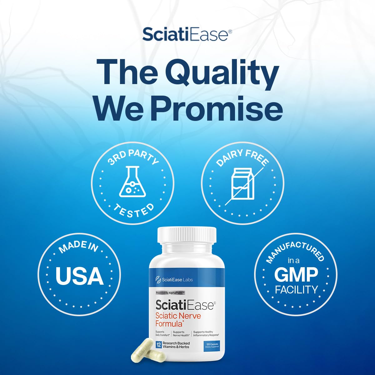 SciatiEase Sciatic Nerve Health Support Supplement | AlphaPalm, Pea, B-Complex, 300mg Alpha Lipoic Acid | 6 Bottles