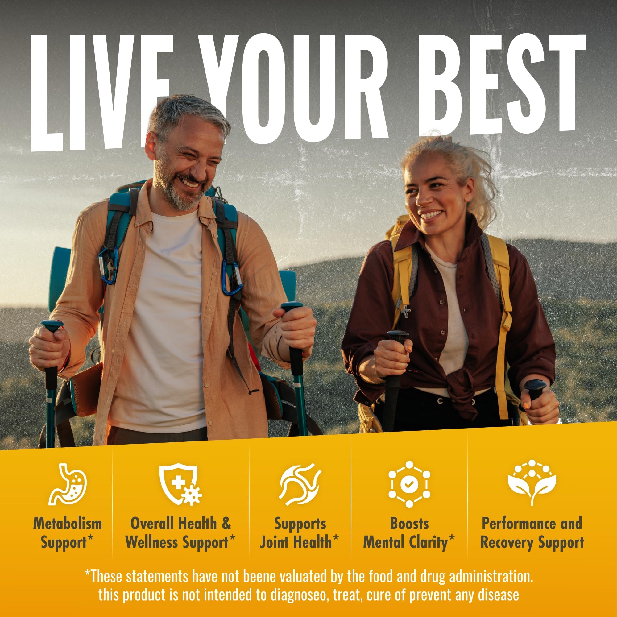 Sculpt Nation by V Shred Turmeric with BioPerine & Sirtmax — Joint Health & Wellness, 60-Day Supply