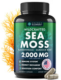 Sea Moss Capsules – Irish Sea Moss with Burdock Root, Bladderwrack & Muira Puama