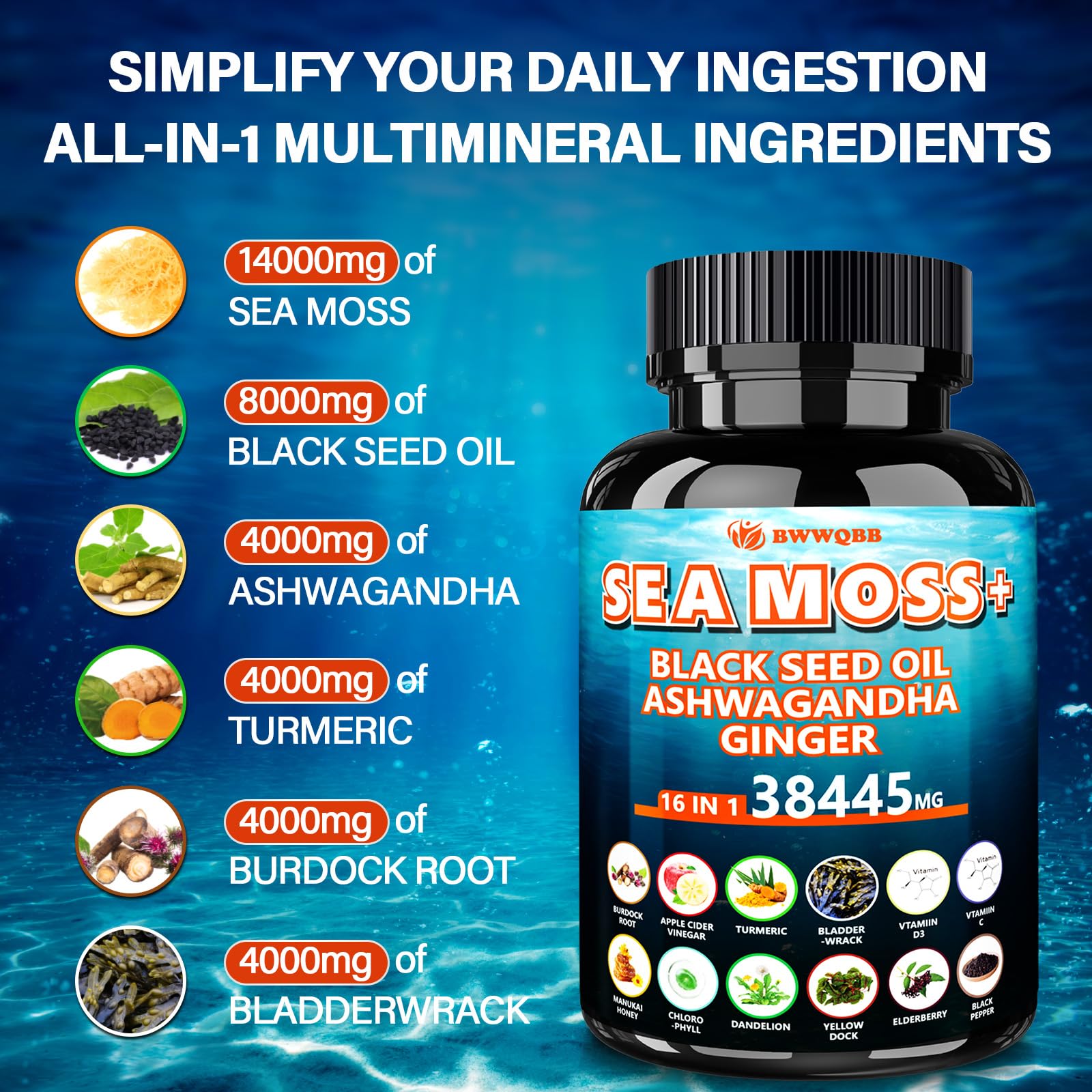 Sea Moss Capsules 60 Count – All-in-1 with Black Seed Oil, Ashwagandha, Turmeric, Bladderwrack & Burdock