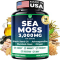 Sea Moss Black Seed Oil Ashwagandha Ginger – All-in-One Irish Sea Moss Capsules