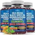 NEW AGE Sea Moss Gummies 10-in-1 with Black Seed, Ashwagandha, Turmeric | Vegan 180 Count