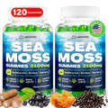Sea Moss Gummies 3100mg Irish Seamoss – Detox, Immune, Skin – 120ct