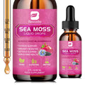 BEWORTHS Sea Moss Liquid Drops – Organic Black Seed Oil (Vegan)