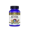 Sea Moss Master Formula with Burdock & Bladderwrack | Gut Health | The Food Movement Co.