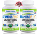 Power By Naturals Sea Moss Plus – Organic Irish Sea Moss with Bladderwrack & Burdock Root, 60 Capsules, 2 Pack