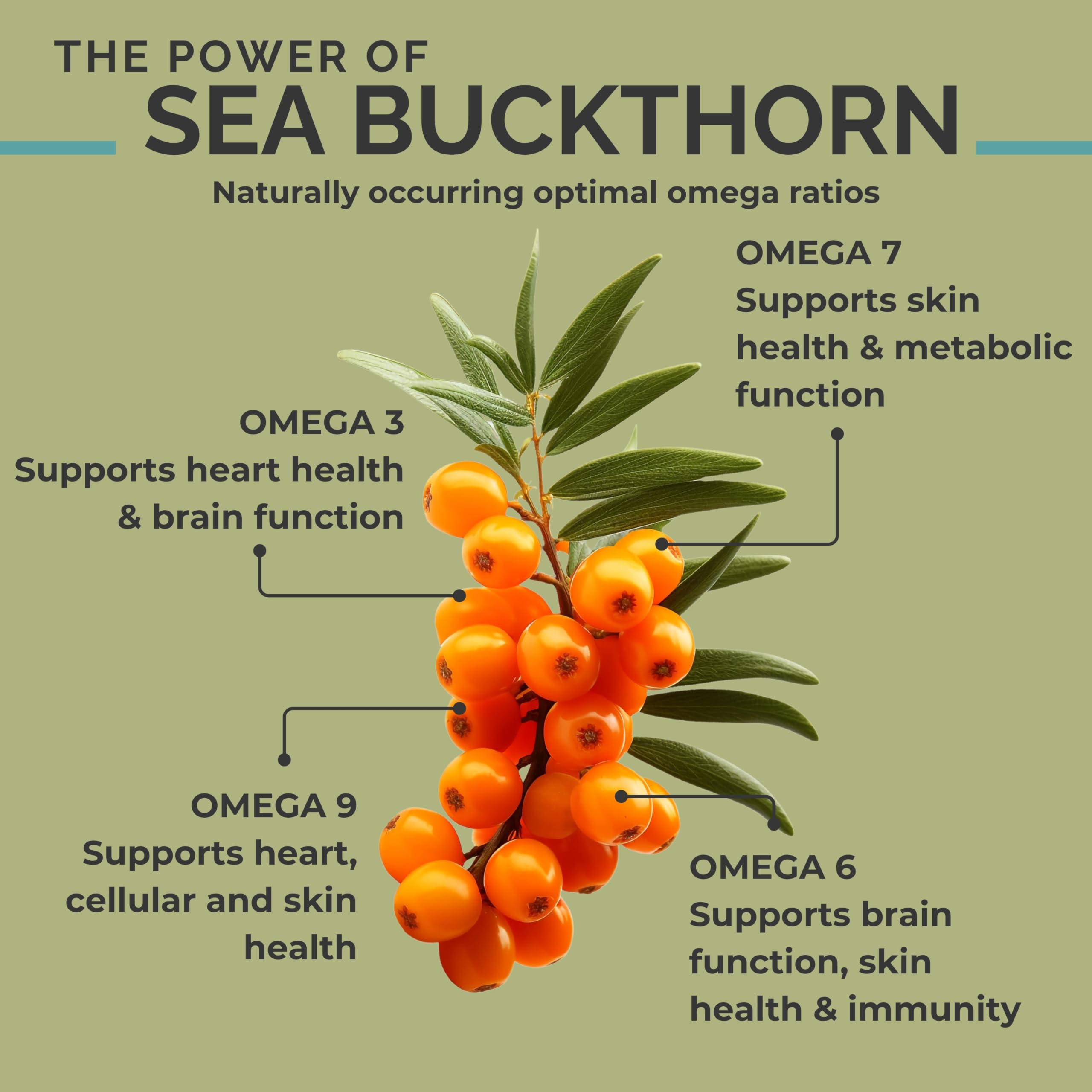 SEABUCKWONDERS Organic Sea Buckthorn Oil Softgels 1000mg – Omega 7, 3, 6 & 9 | Hair, Skin & Nails