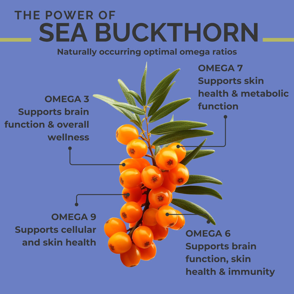 SeabuckWonders Sea Buckthorn Berry Oil – 100% Organic, 1.76 fl oz