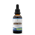 Secrets of the Tribe Holy Basil Tincture – Alcohol-Free Extract, 2 FL OZ | Ocimum Tenuiflorum