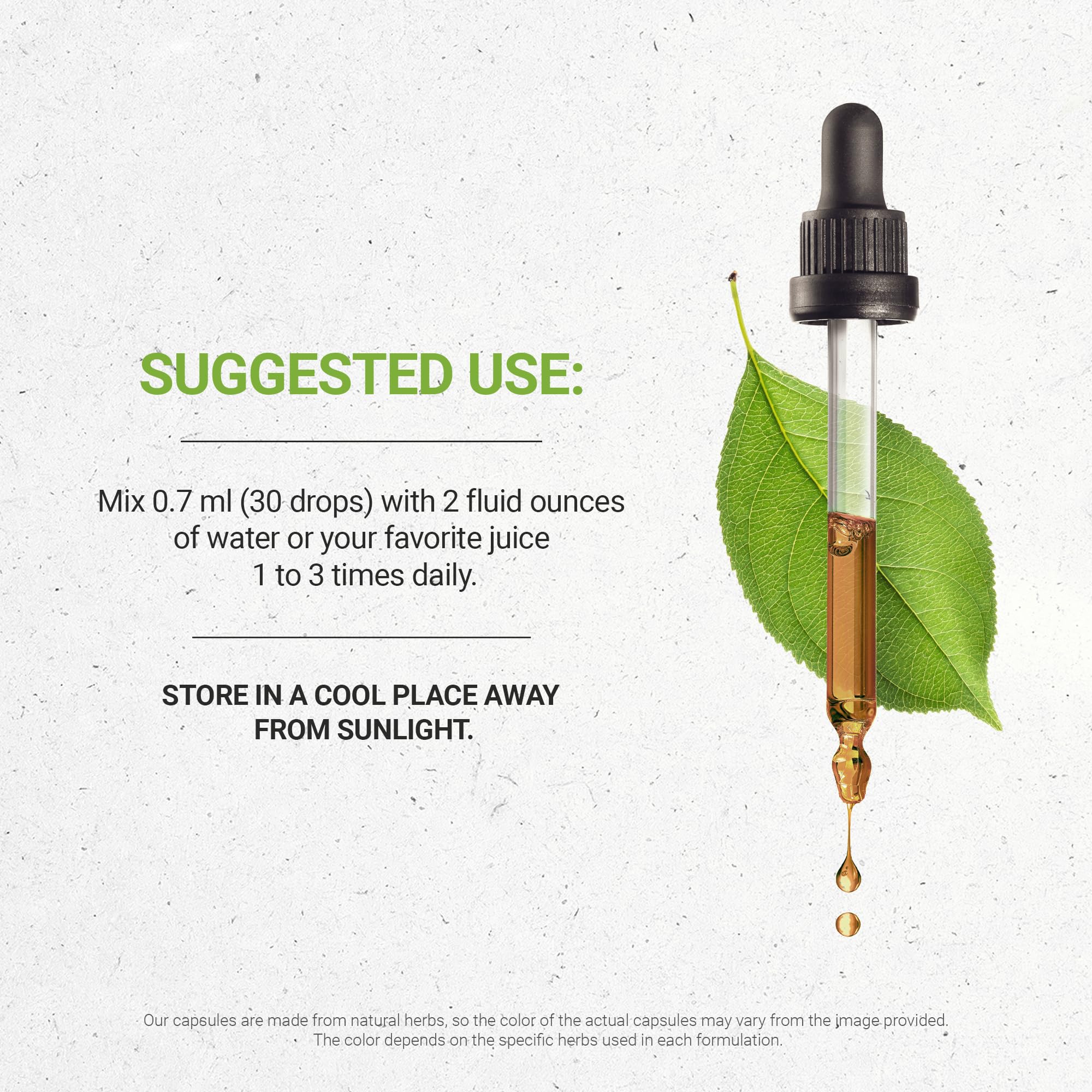 Secrets of the Tribe Holy Basil Tincture – Alcohol-Free Extract, 2 FL OZ | Ocimum Tenuiflorum