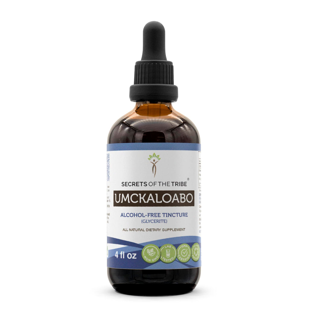 Secrets of the Tribe Umckaloabo Tincture Alcohol-Free Extract | Wildcrafted Pelargonium sidoides 4 oz