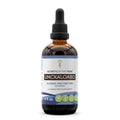 Secrets of the Tribe Umckaloabo Tincture Alcohol-Free Extract | Wildcrafted Pelargonium sidoides 4 oz