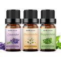 Sedbuwza 3 Pack Lavender Peppermint Chamomile Essential Oils | 100% Pure & Natural Aromatherapy Gift Oils