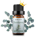 Sedbuwza Eucalyptus Essential Oil – Pure Organic Fragrance for Diffuser & Soap
