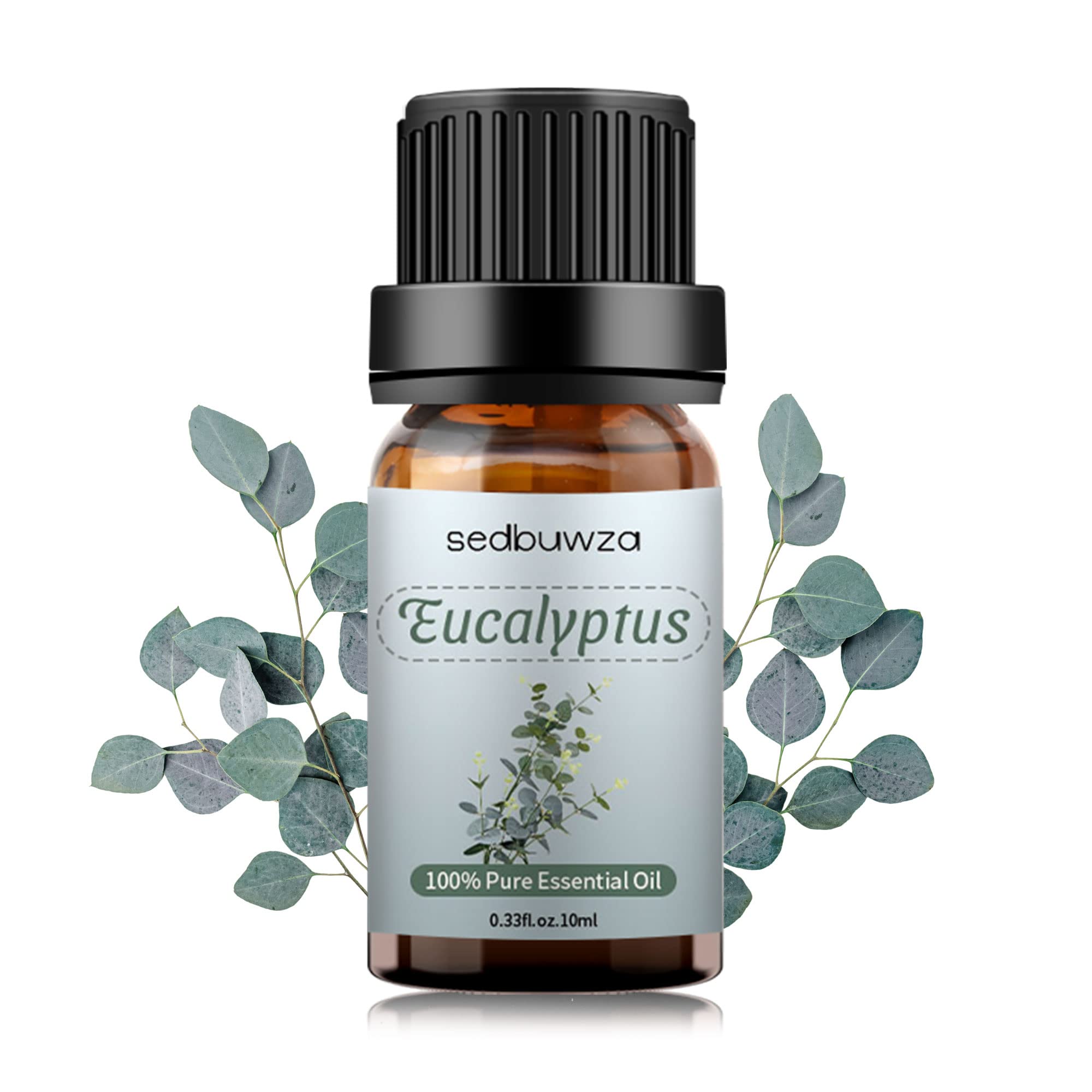 Sedbuwza Eucalyptus Essential Oil – Pure Organic Fragrance for Diffuser & Soap