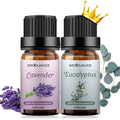 Sedbuwza Lavender & Eucalyptus Essential Oil Set – 2 x 10 ml | Diffuser, Aromatherapy, Soap & Candle Making