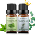 Sedbuwza Peppermint & Eucalyptus Essential Oil Set – 2 x 10 ml for Diffuser, Aromatherapy, Massage