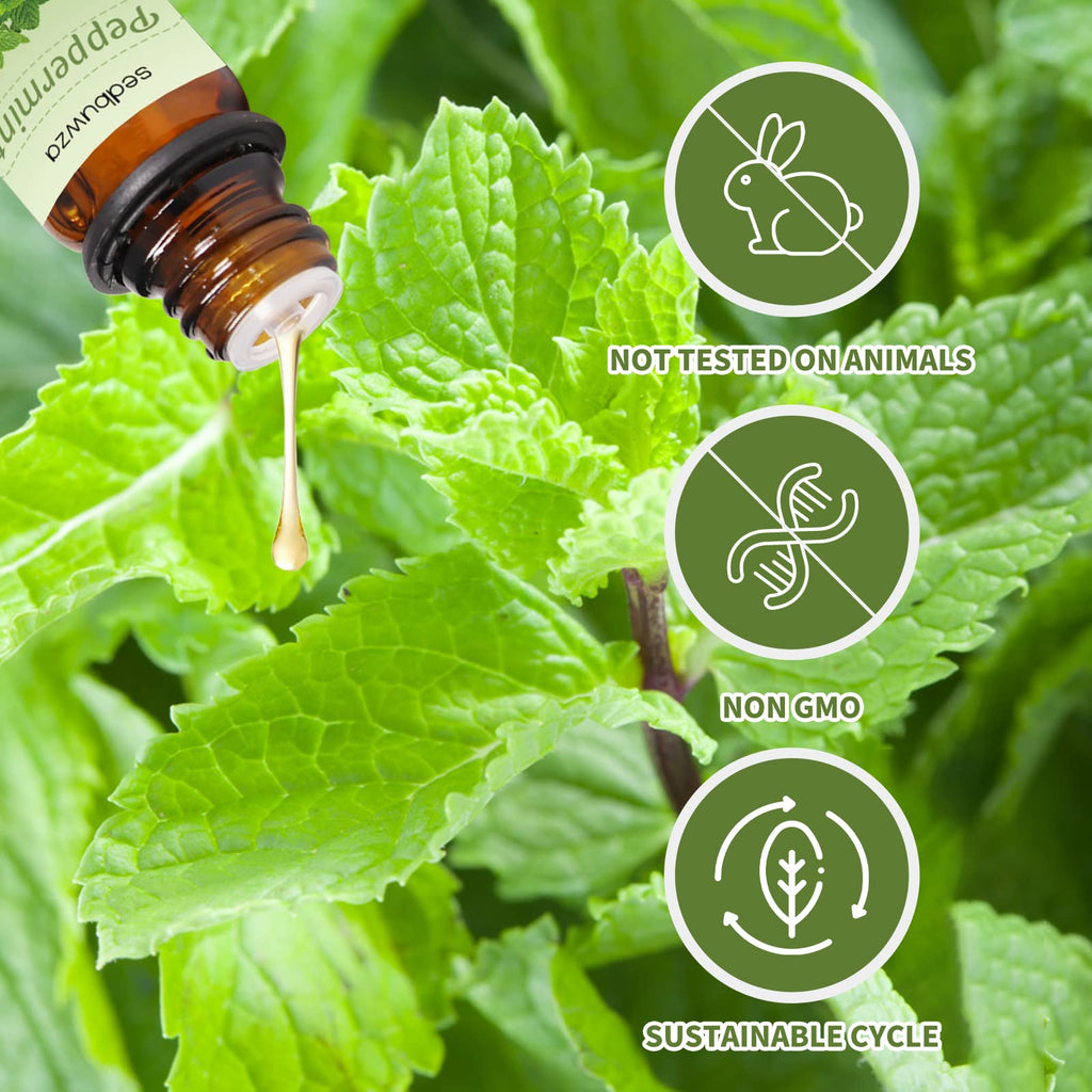 Sedbuwza Peppermint Orange Essential Oil Set - 2 x 10 ml for Diffuser, Aromatherapy