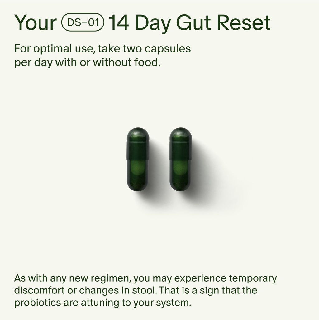 Seed 14 Day Gut Reset | Probiotic & Prebiotic for Digestive Health