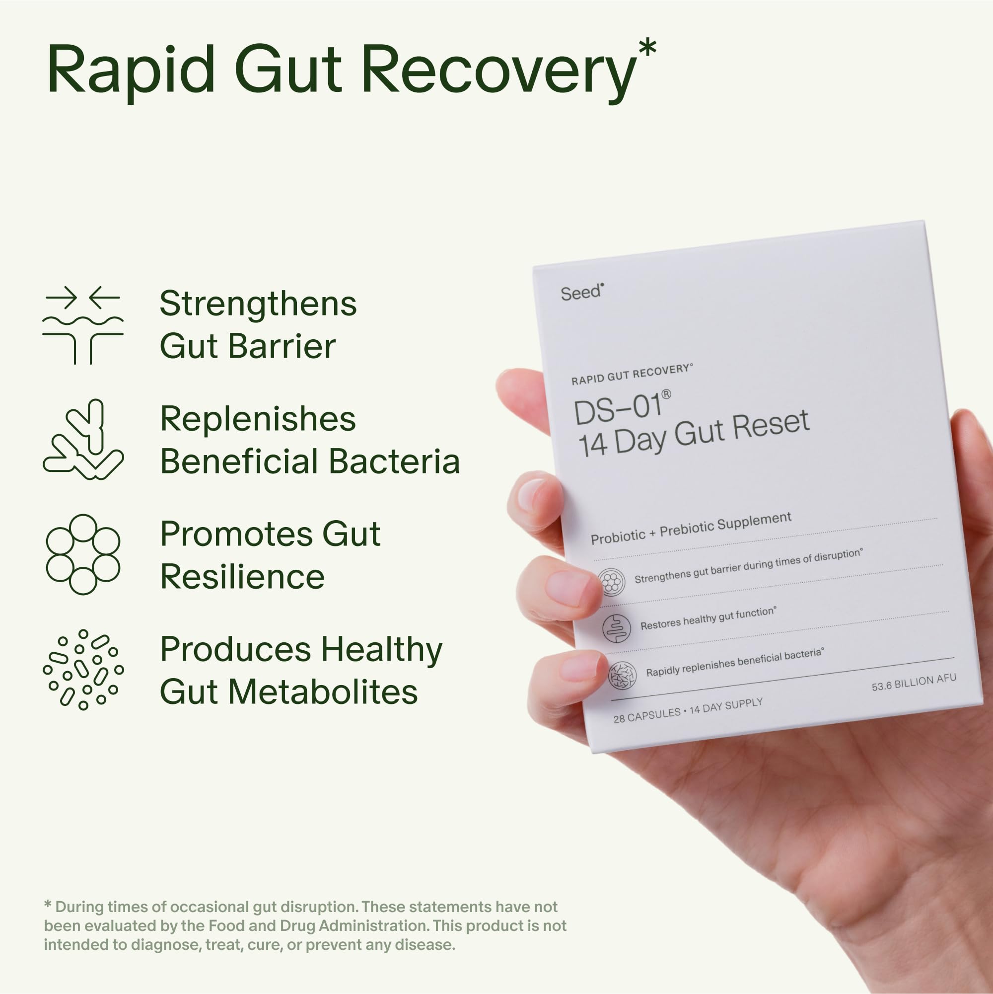 Seed 14 Day Gut Reset | Probiotic & Prebiotic for Digestive Health