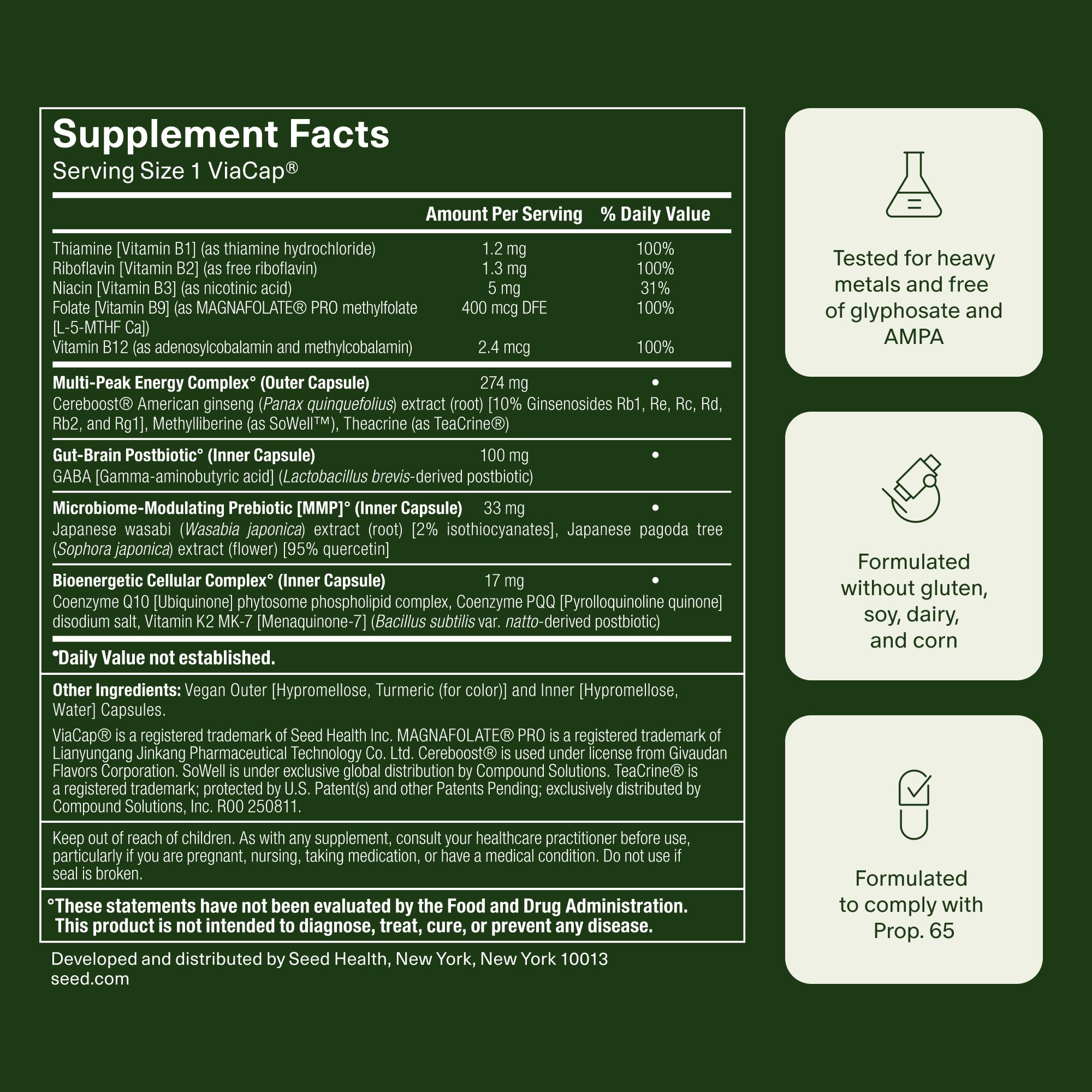 Seed AM-02 Energy + Focus: Daily Nootropic (Caffeine-Free, 30 Capsules)