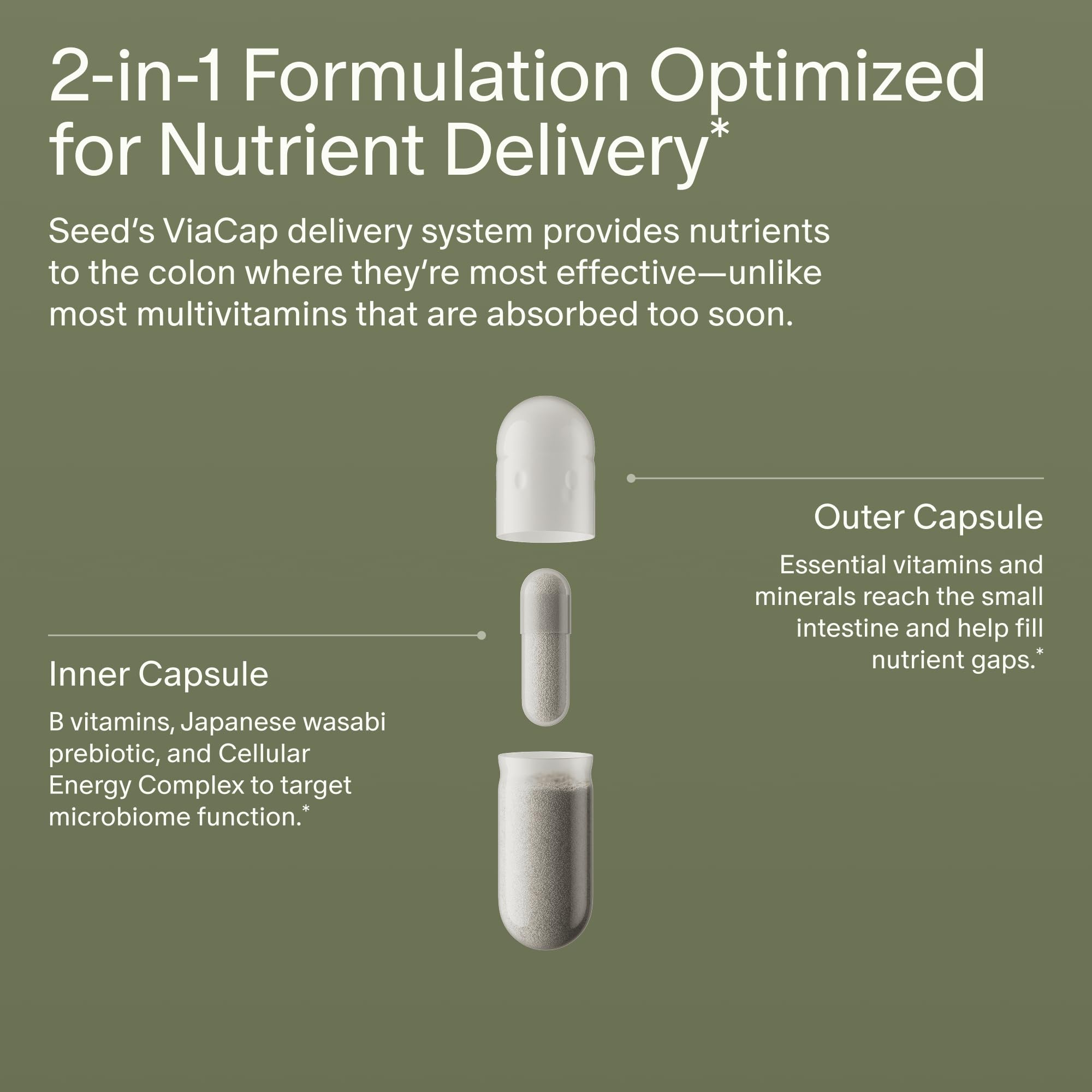 Seed DM-02 Daily Multivitamin – 100% DV Essentials for Immune, Bone, Hair & Nails (Vegan, 30-Day)