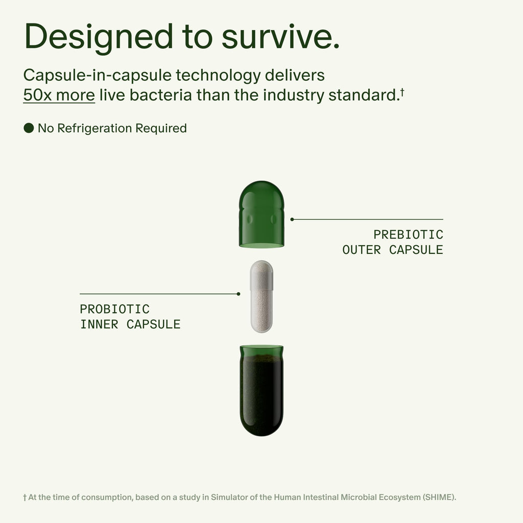 Seed DS-01 Daily Synbiotic - 60 Capsules | Prebiotic + Probiotic for Digestive Health, Immune Support, Bloat Relief