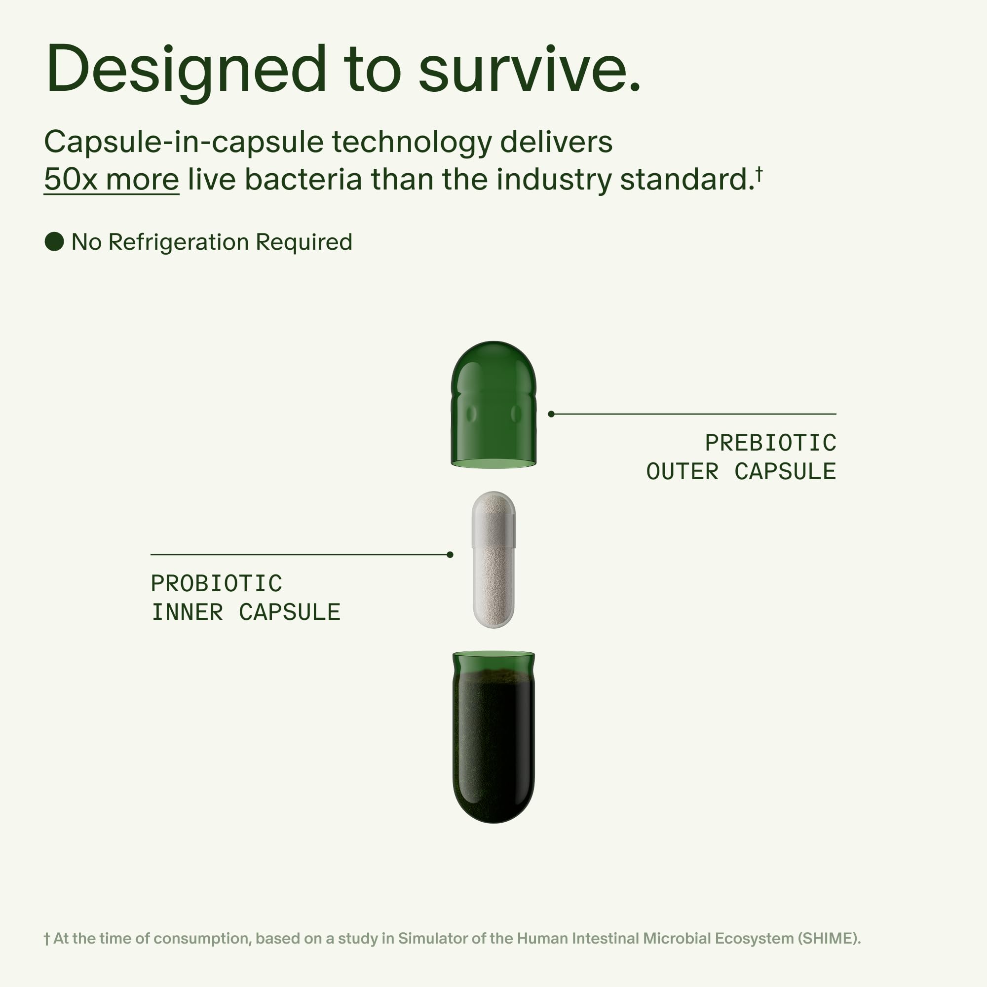 Seed DS-01 Daily Synbiotic - 60 Capsules | Prebiotic + Probiotic for Digestive Health, Immune Support, Bloat Relief