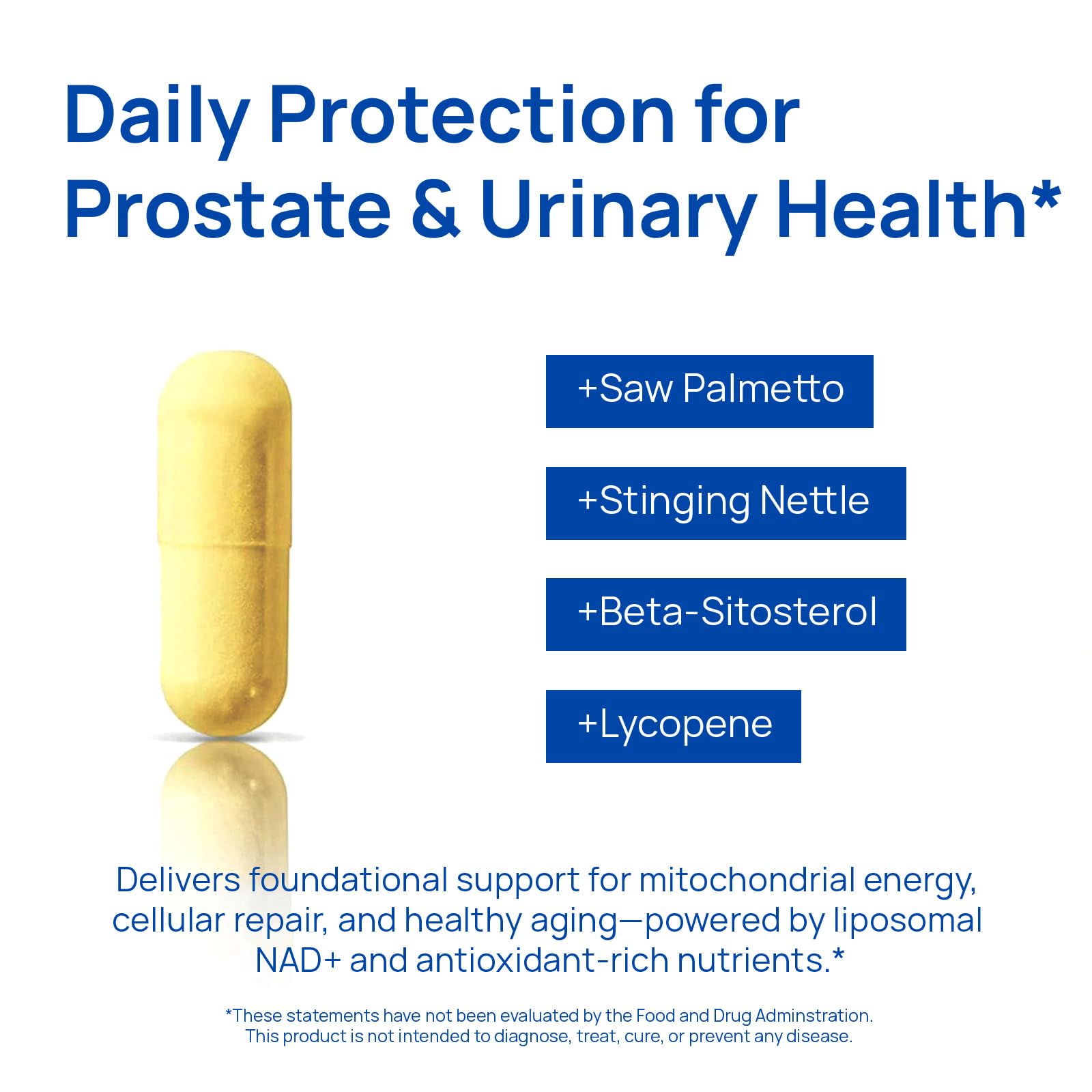 Selerb NAD+ for Men – Nitric Oxide, Prostate Health, Resveratrol, CoQ10 | 60 Capsules