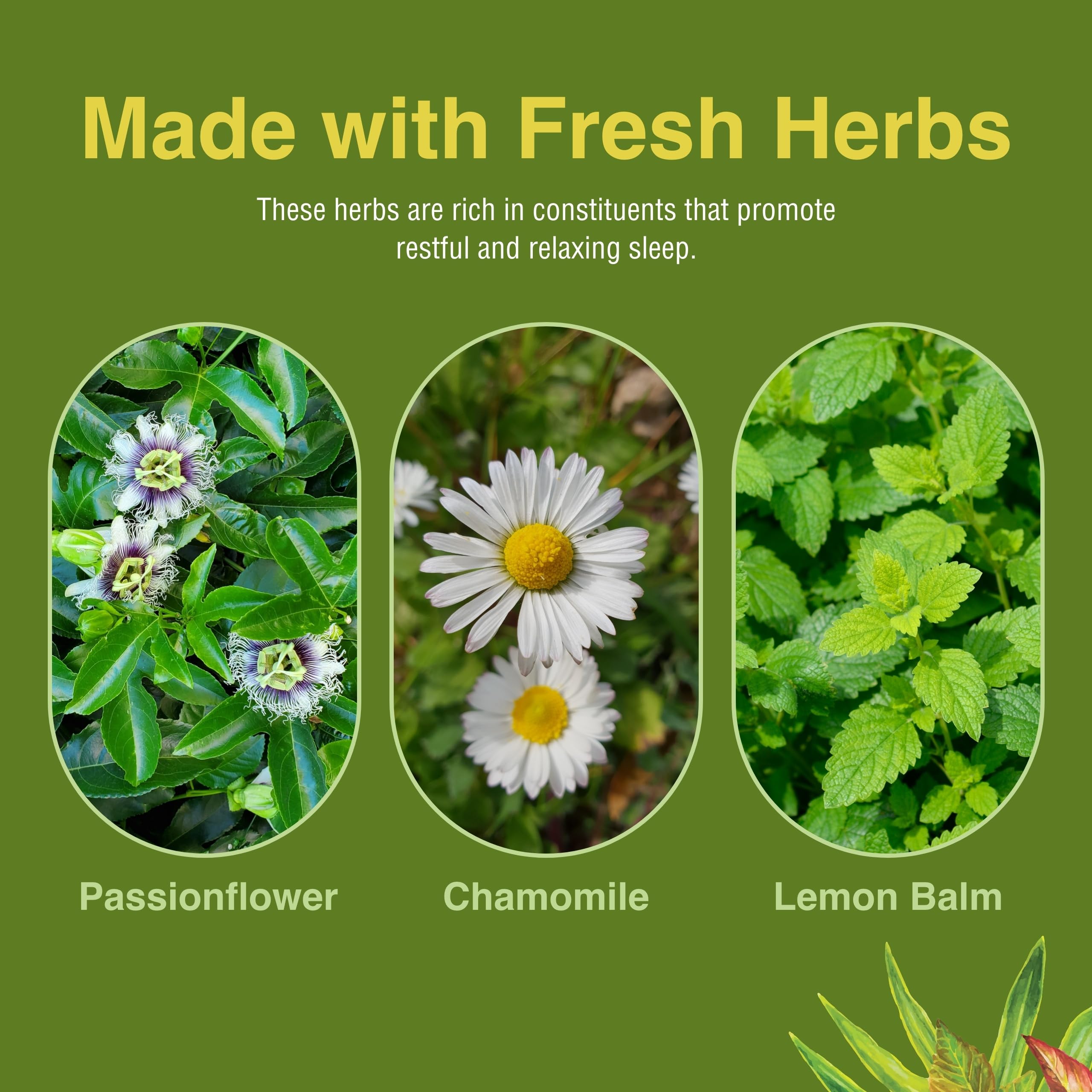 Herbs Etc. Deep Sleep Classic Liquid Extract - Gentle Herbal Sleep Support