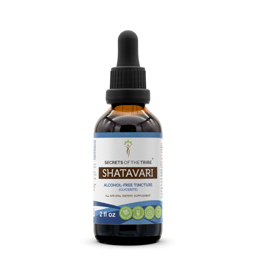 Shatavari Alcohol-Free Liquid Extract – 2 fl oz (Asparagus Racemosus)