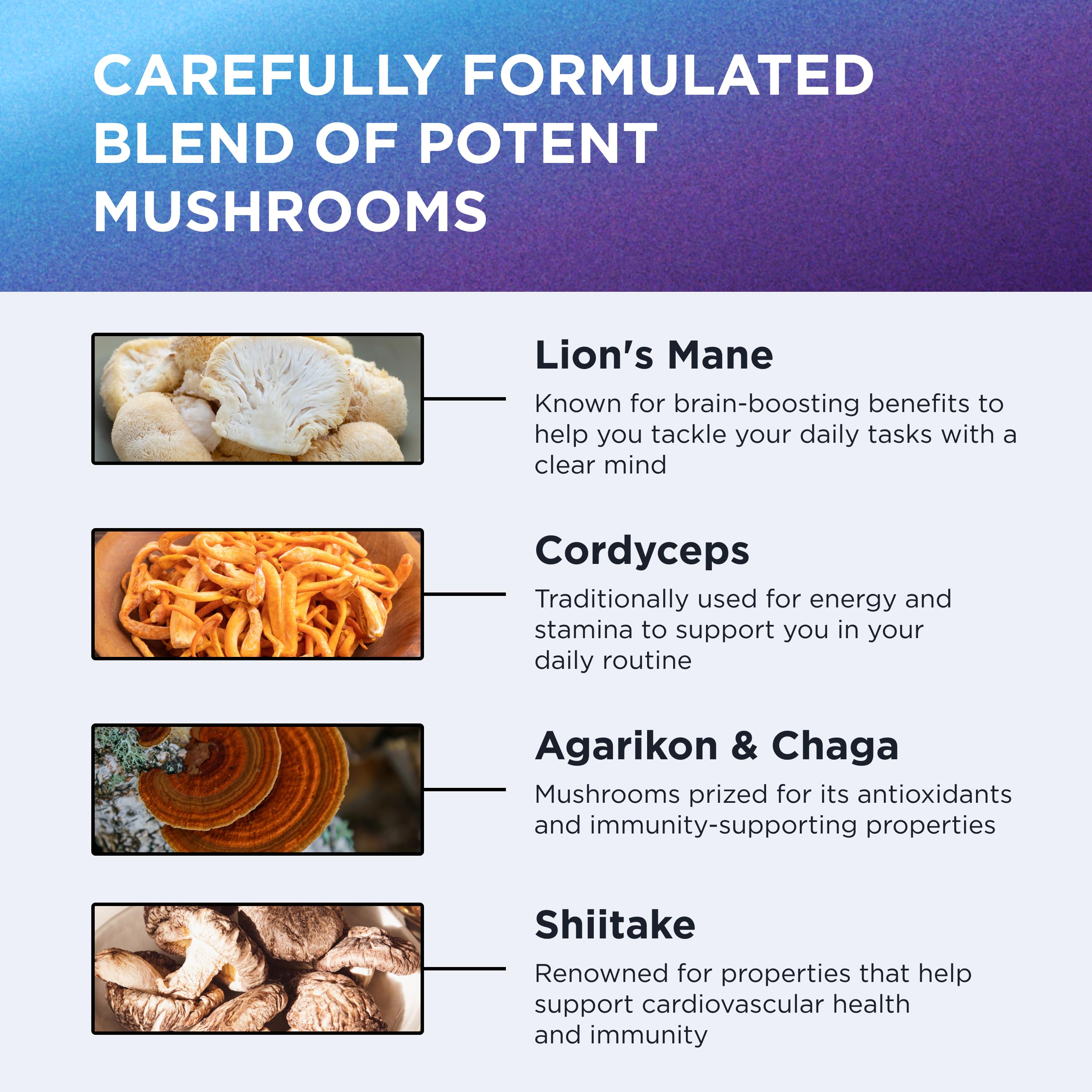 Dr. Emil Nutrition 10 Mushroom Nootropic Supplement – Clarity & Immune Support