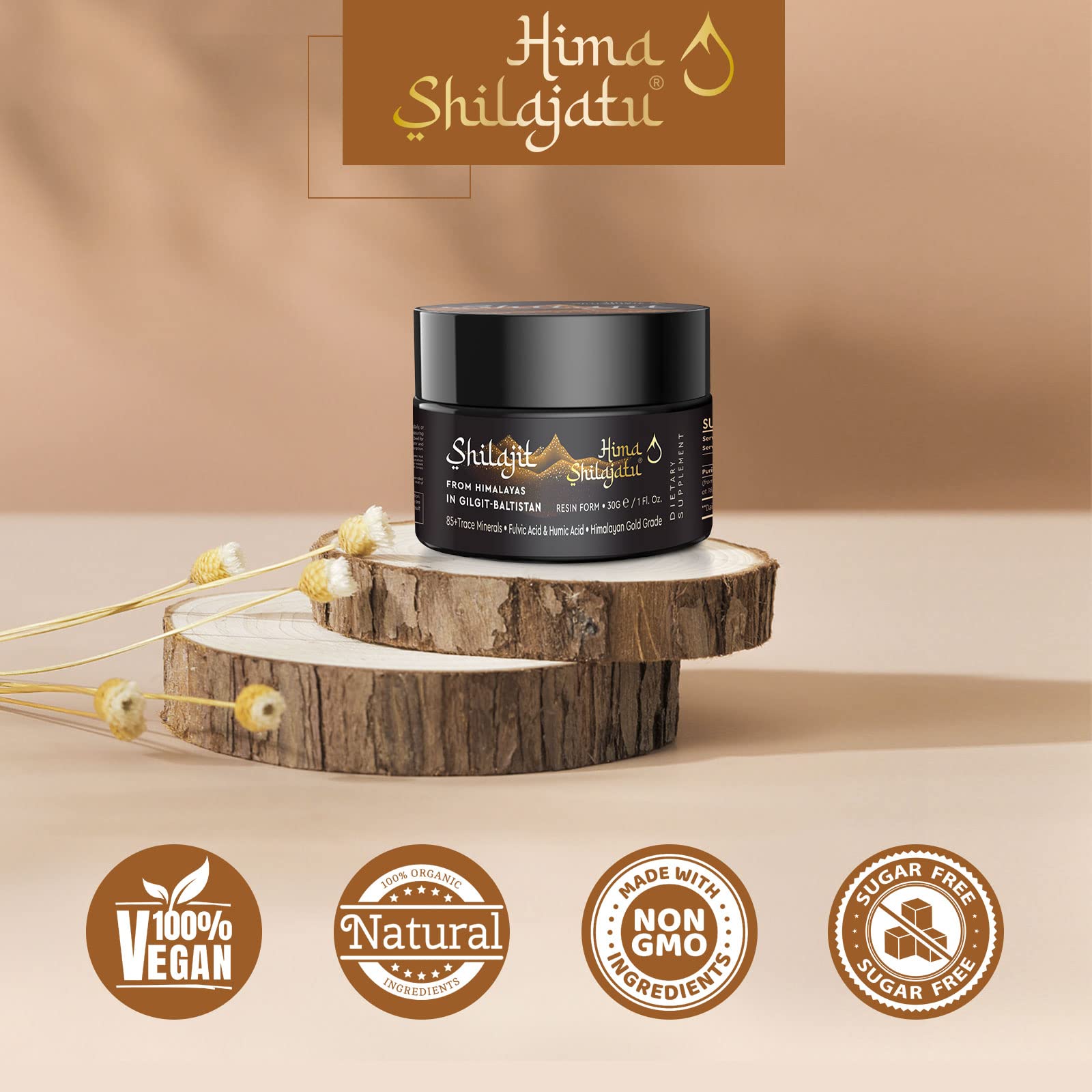 Shilajit Purest Himalayan Organic Resin – Gold Grade 100% Pure, Fulvic Acid & 85+ Minerals, 30g