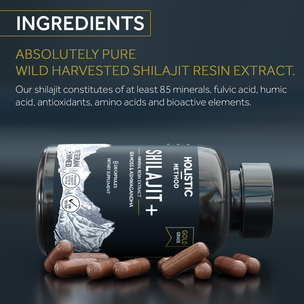 Holistic Method Shilajit Capsules - Pure Himalayan, 120 Count (Energy & Immune Support)