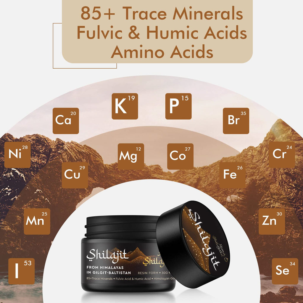 Shilajit Purest Himalayan Organic Resin – Gold Grade 100% Pure, Fulvic Acid & 85+ Minerals, 30g