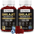1000 MG Shilajit Gummies – Organic Himalayan Shilajit, 85+ Minerals, 120 Count