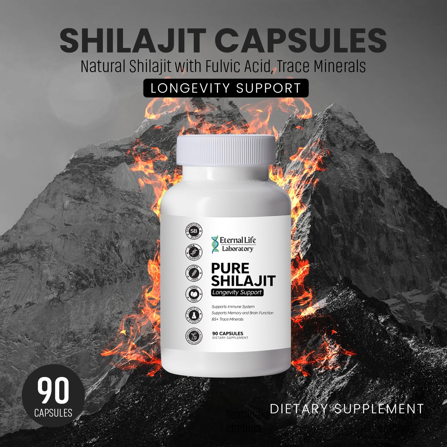 100% Pure Shilajit  Organic Himalayan Shilajit 1000mg | 85+ Minerals