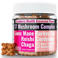 SHIZAM 17 Mushroom Complex Gummies for Adults – Immune Support with Lions Mane, Reishi & More