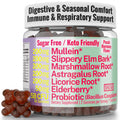 SHIZAM Gummies: Slippery Elm, Mullein, Elderberry & Probiotic – Sugar-Free, Keto, Vegan