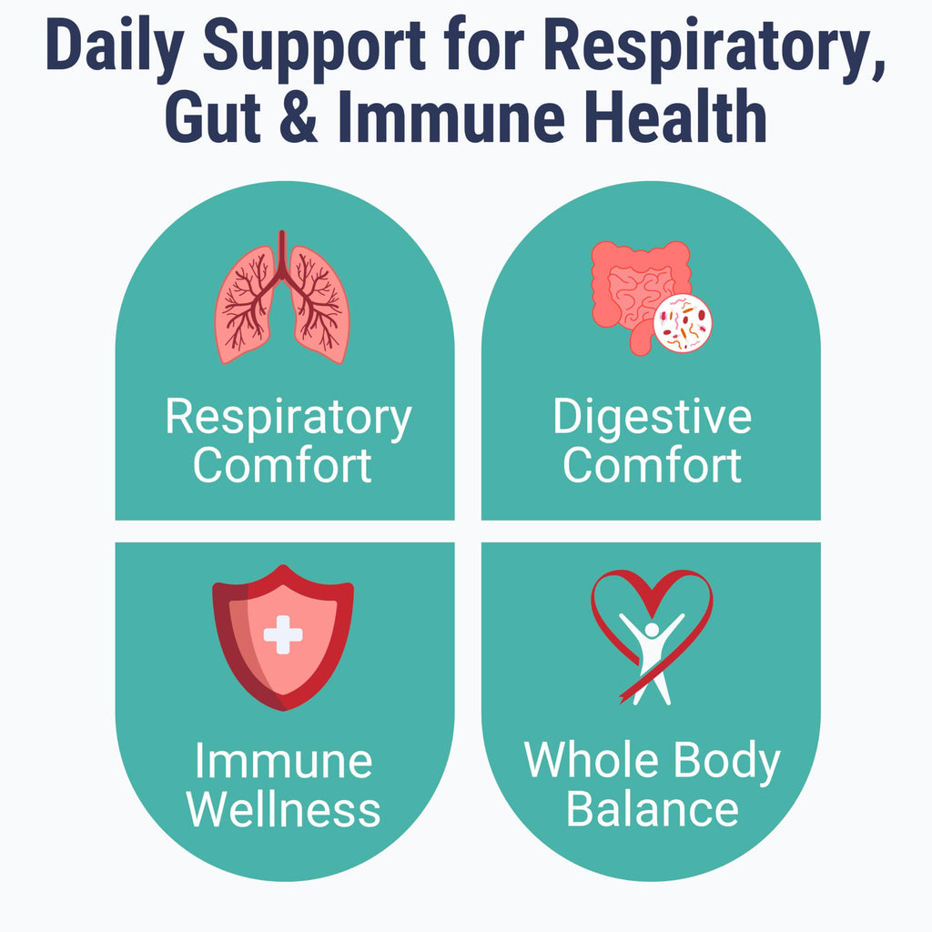 SHIZAM Gummies: Slippery Elm, Mullein, Elderberry & Probiotic – Sugar-Free, Keto, Vegan