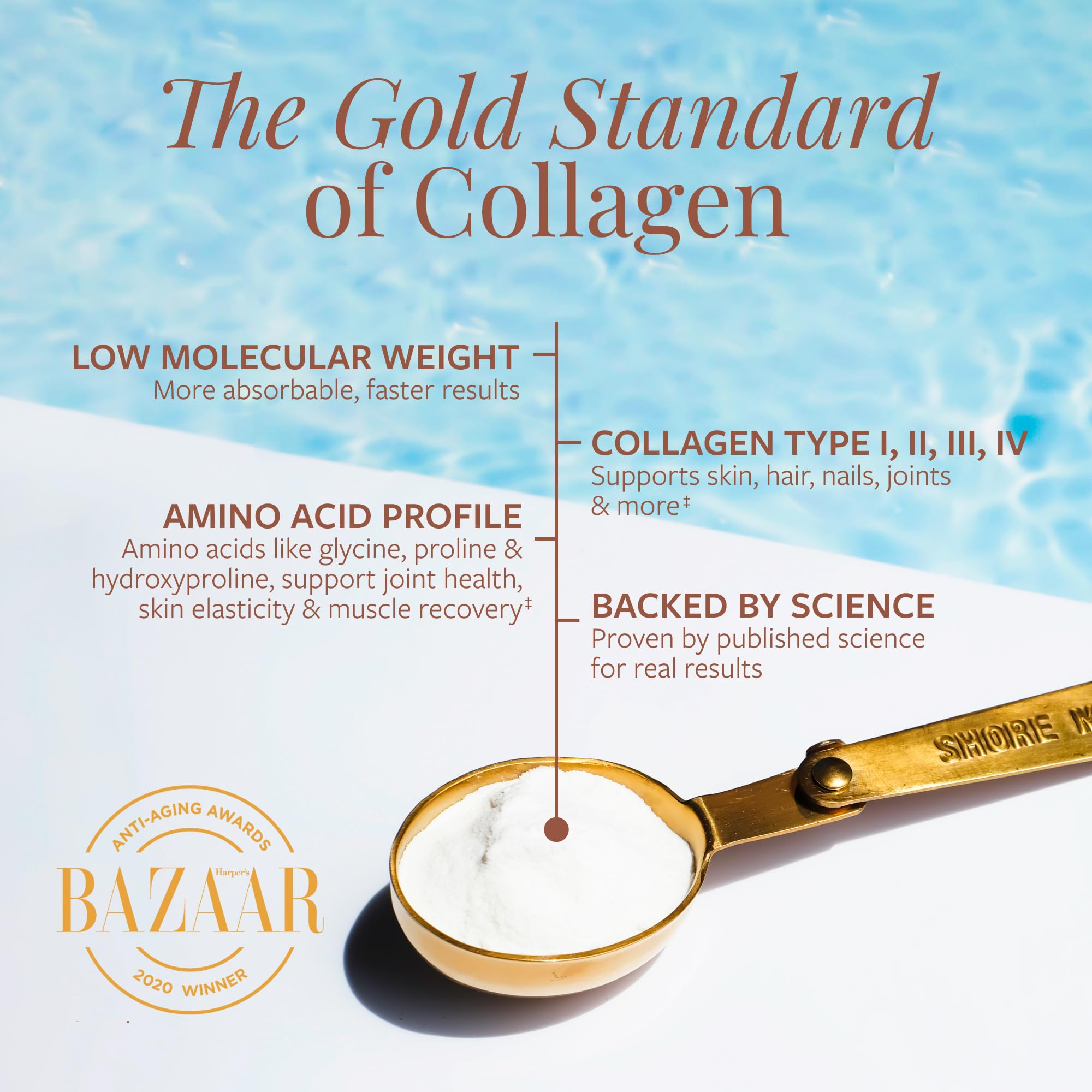 Shore Magic Marine Collagen Powder – Types I-IV, Unflavored, 9g Protein
