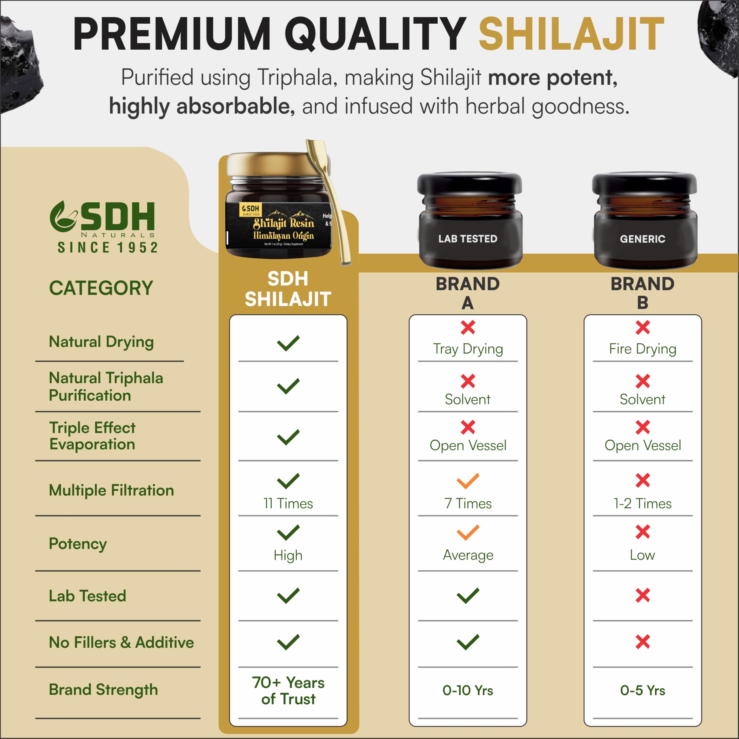 SHREE DHANWANTRI HERBALS Himalayan Shilajit Resin – 30g (2-Month) for Energy & Focus