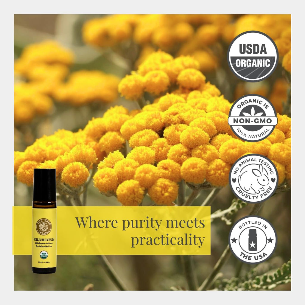 Silk Road Helichrysum Italicum Essential Oil Roll-On – USDA Organic, 10 ml