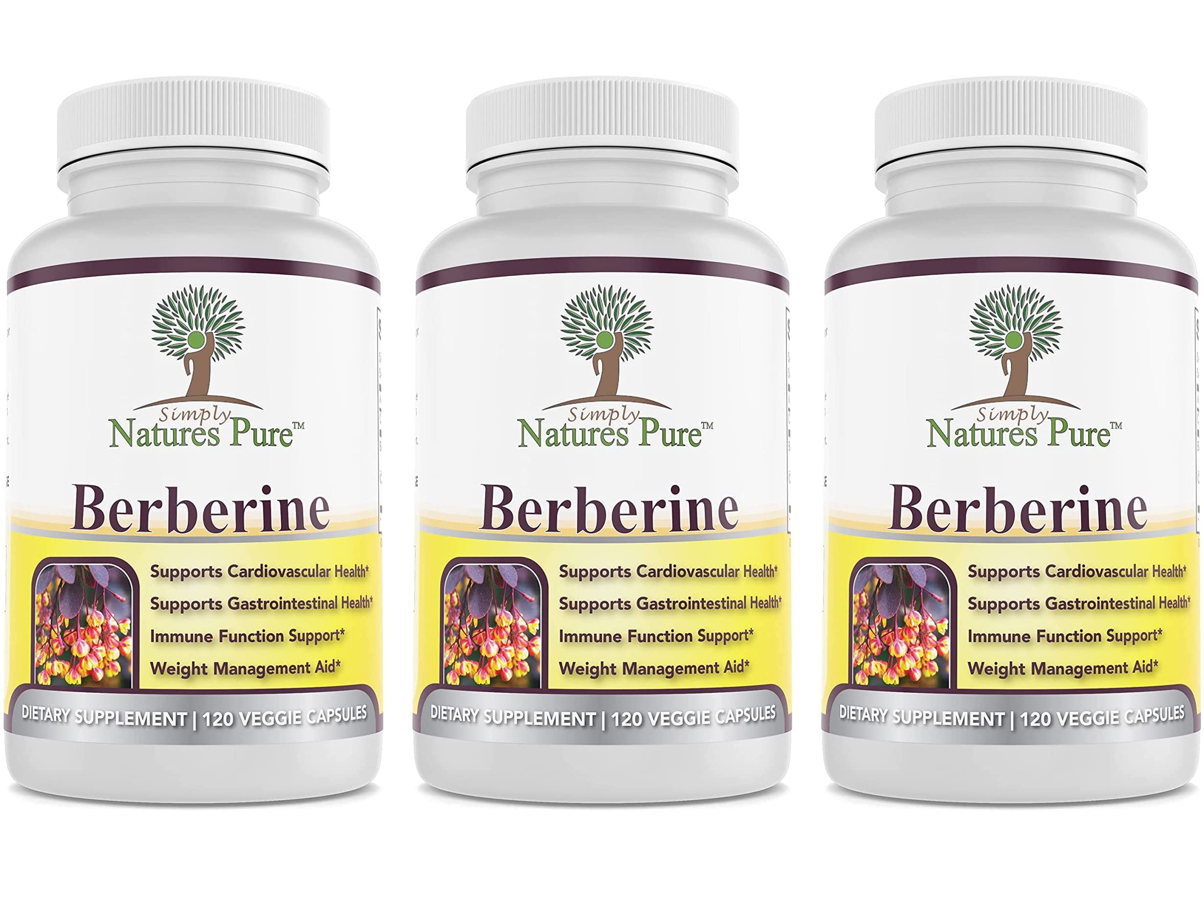 Simply Natures Pure Premium Berberine HCl 500mg - 120 Capsules - Cardiovascular GI Immune Support - Chromium Cinnamon (Pack of 3)