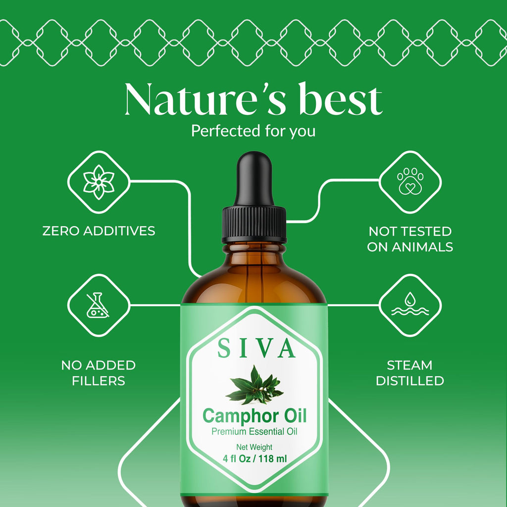 Siva Camphor Essential Oil - 4 Fl Oz | 100% Natural Camphor Oil with Dropper for Diffuser, Skin, Hair & Aromatherapy