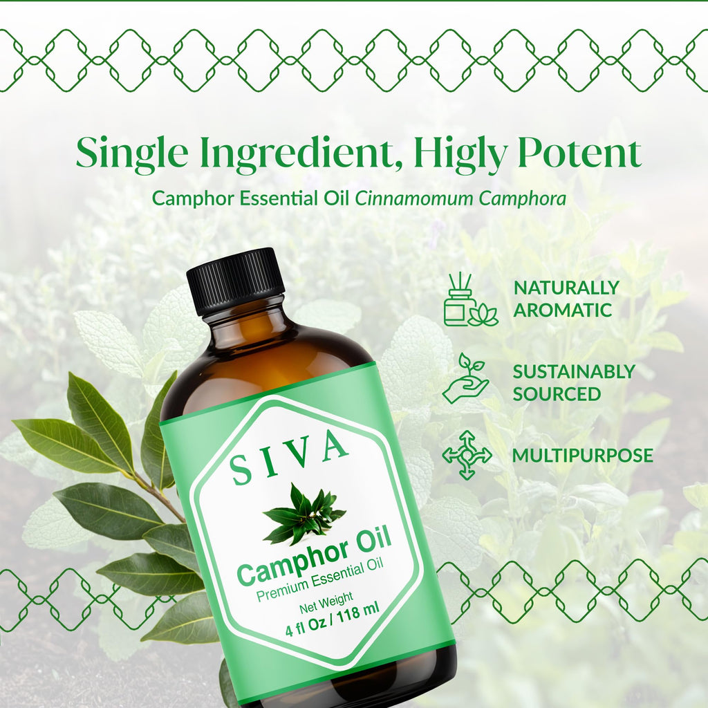 Siva Camphor Essential Oil - 4 Fl Oz | 100% Natural Camphor Oil with Dropper for Diffuser, Skin, Hair & Aromatherapy